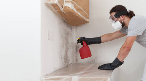 Professional Crawl Space Mold Removal technician working in Burlington, MA