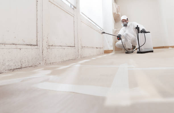 24/7 Emergency Crawl Space Mold Removal experts in Burlington, MA