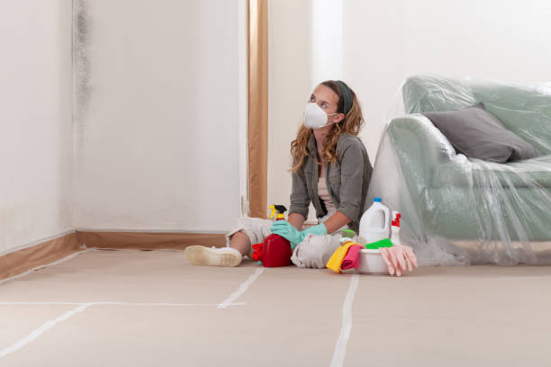 Reliable Crawl Space Mold Removal contractor in Burlington, MA by WQB Mold Removal
